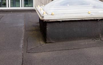 disadvantages of Pin Green flat roofs